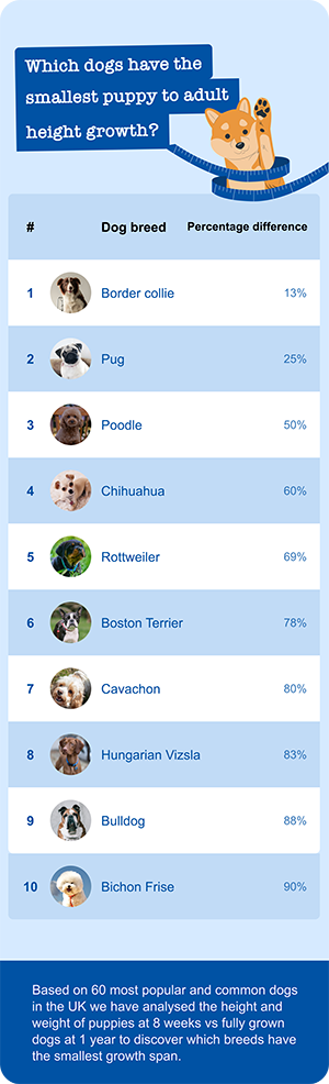 Which dogs have the smallest puppy to adult height growth image